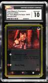 Team Magma'S Poochyena