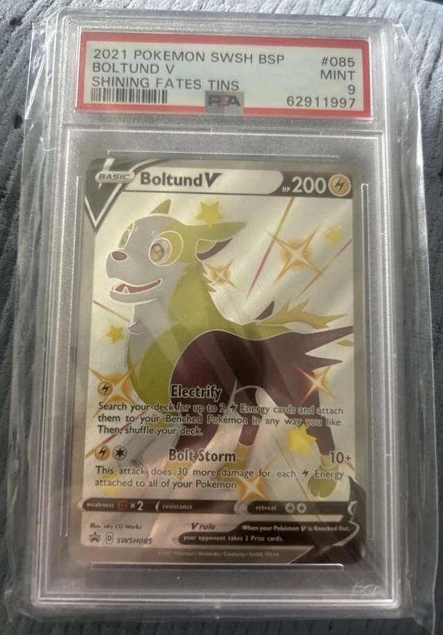 Boltund V