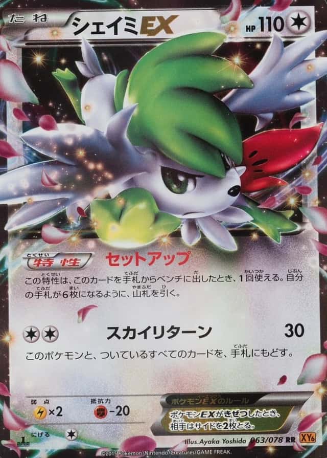 Holo · 1st Edition