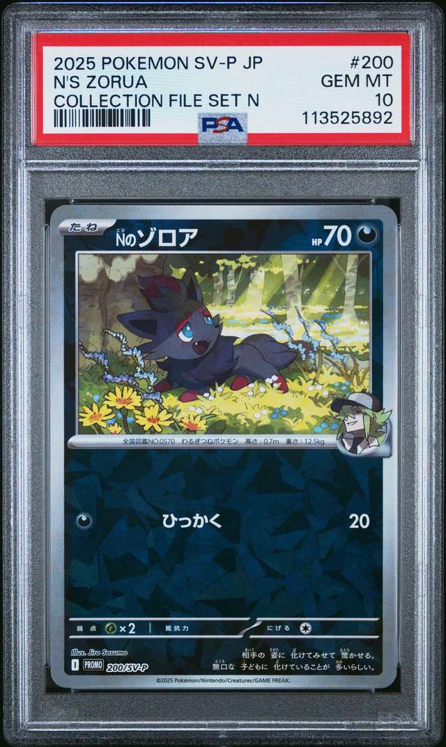 N's Zorua