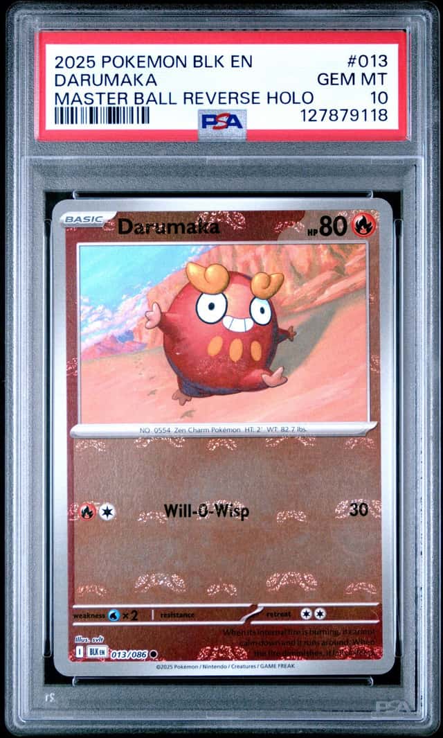 Darumaka