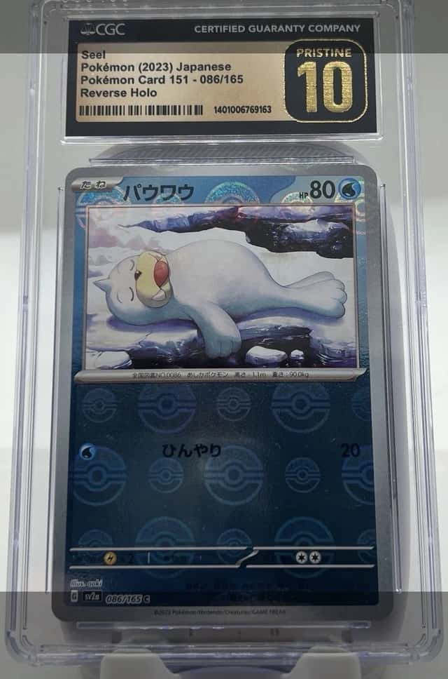 Seel