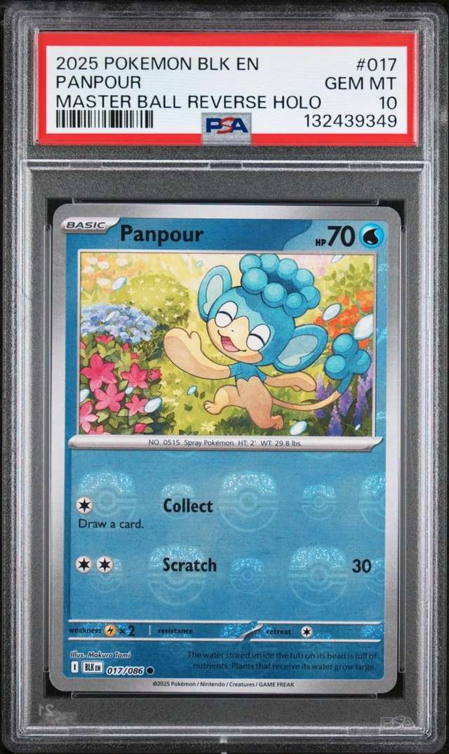 Panpour