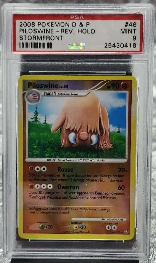Piloswine