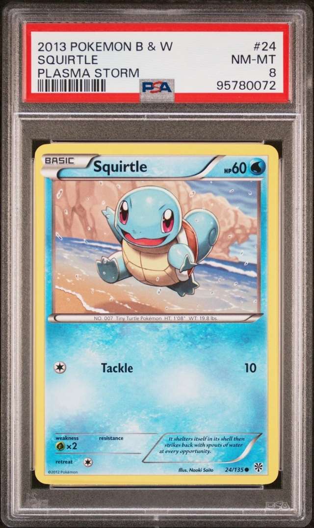 SQUIRTLE