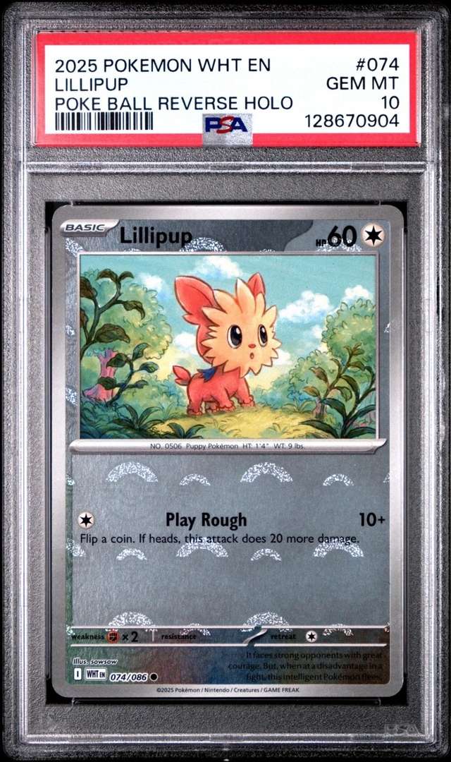 Lillipup