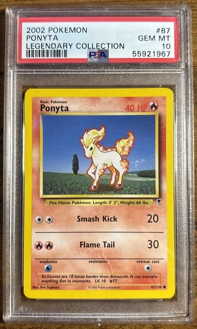 Ponyta C