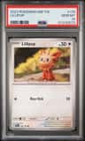 Lillipup