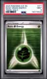 Basic Grass Energy