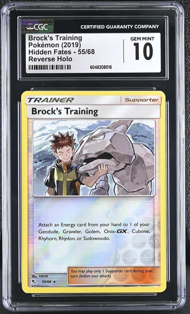 Brock's Training