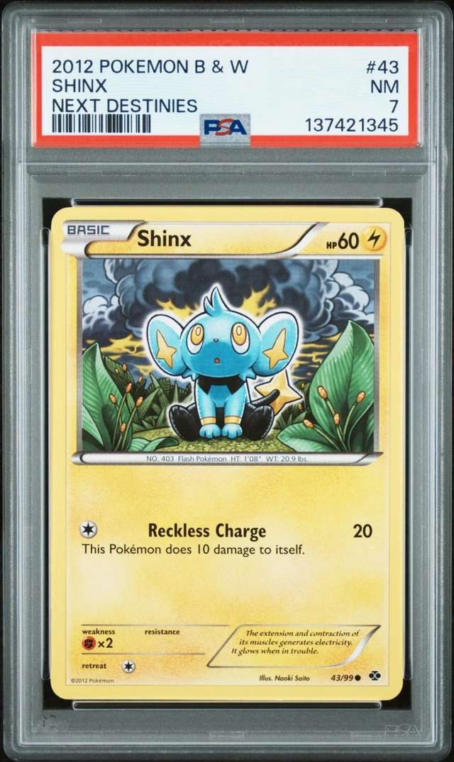 Shinx
