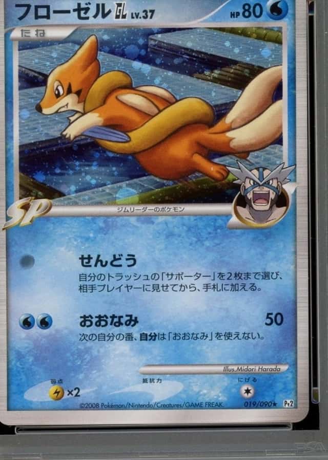 Holo