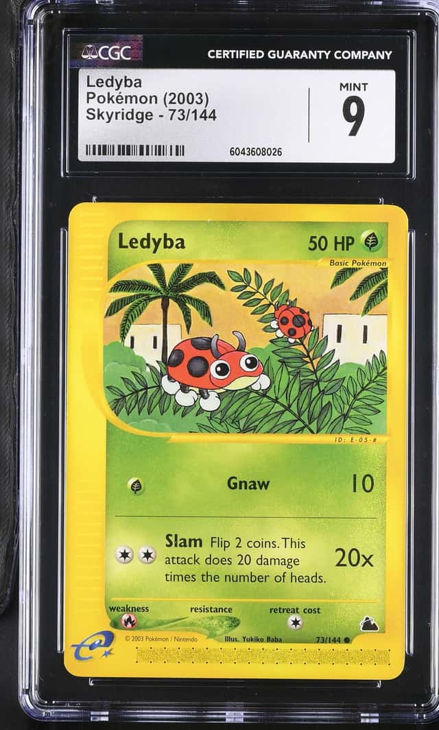 Ledyba
