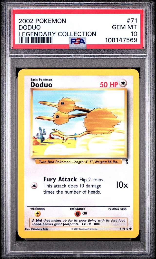 Doduo C