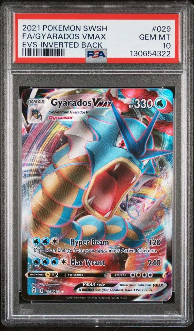 FA/GYARADOS VMAX