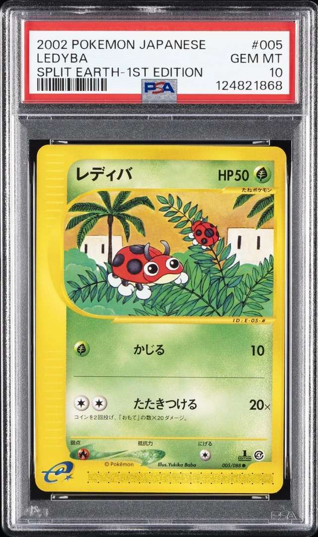 Ledyba