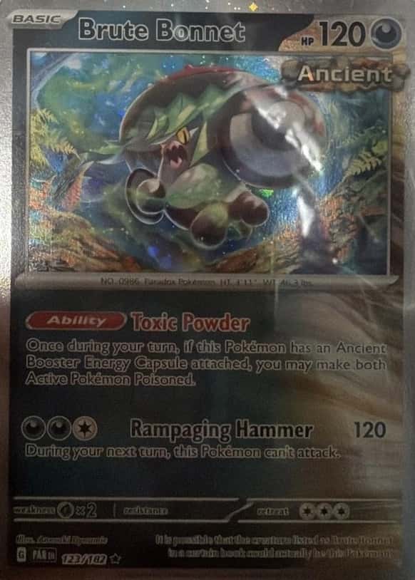 Roaring Moon EX Box