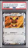 Poncho-Wearing Eevee