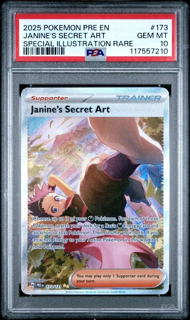 Janine's Secret Art