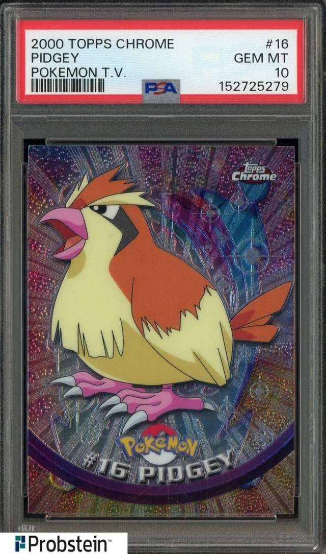 Pidgey