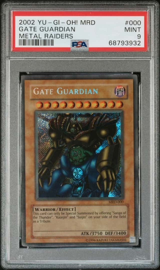 Gate Guardian