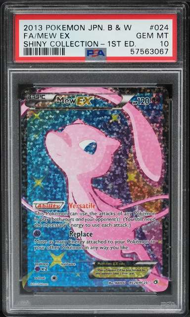 FA/MEW EX