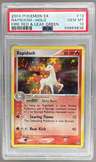 Rapidash