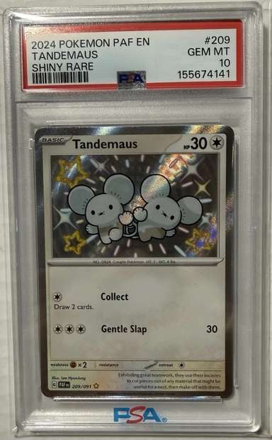 Tandemaus