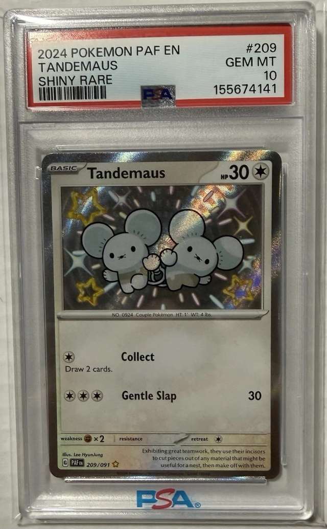 Tandemaus
