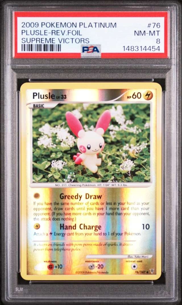 PLUSLE