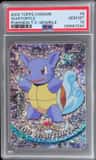 Wartortle