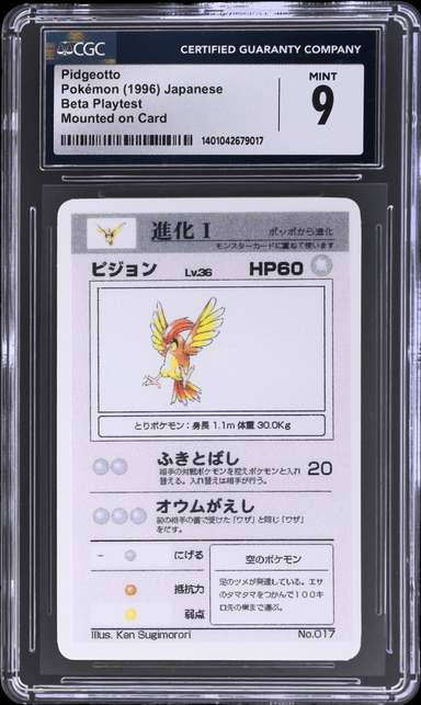 Pidgeotto