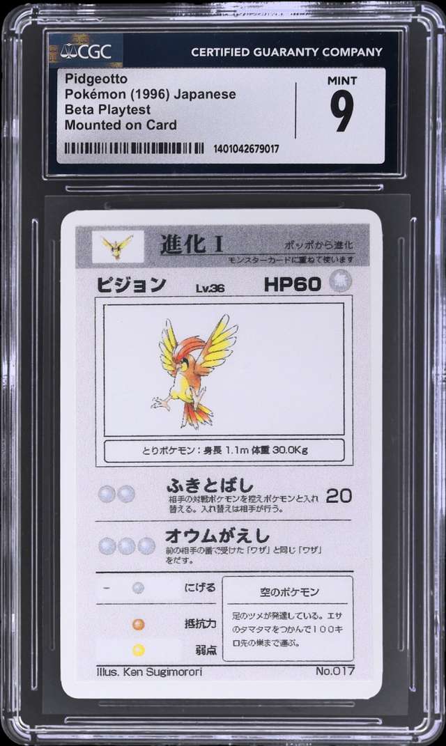 Pidgeotto