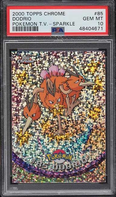 DODRIO