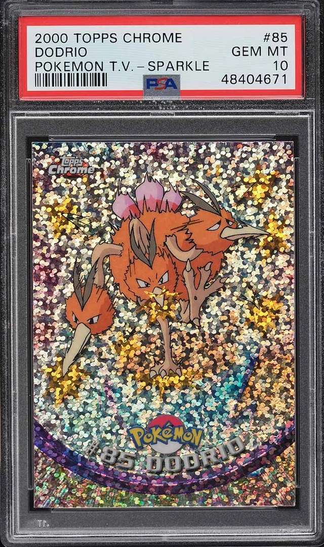 DODRIO