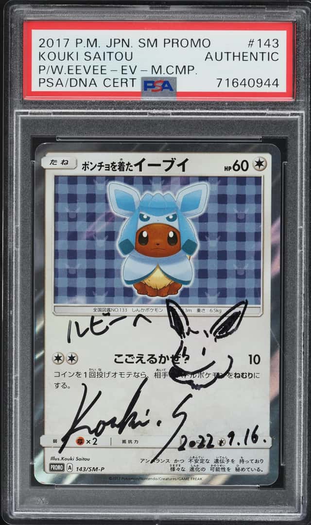 Poncho-Wearing Eevee
