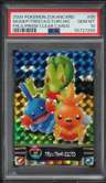 Mudkp/treecko/torchic