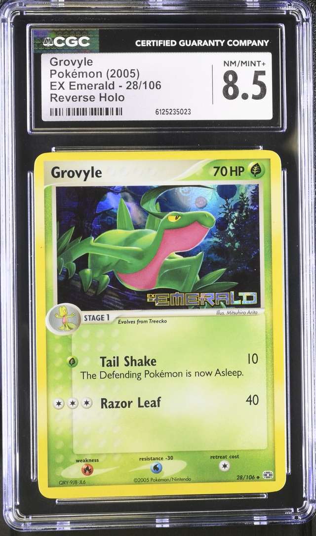 GROVYLE-REV.FOIL