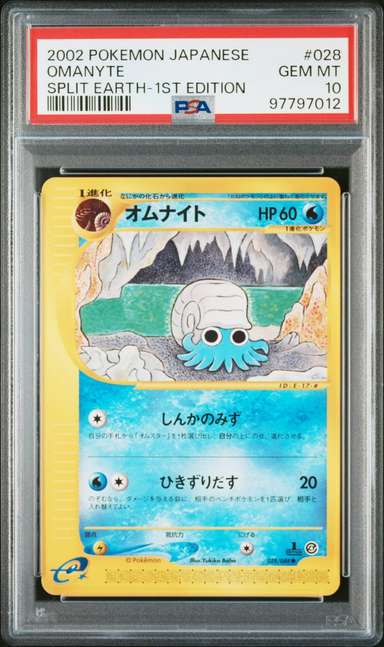 Omanyte