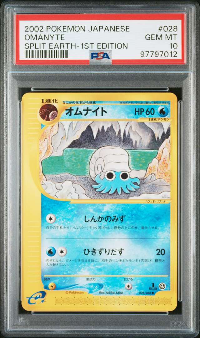 Omanyte