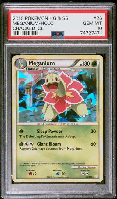 Meganium
