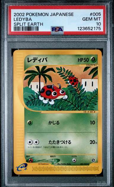Ledyba