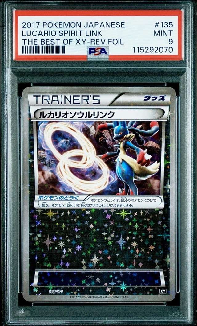 Lucario Spirit Link