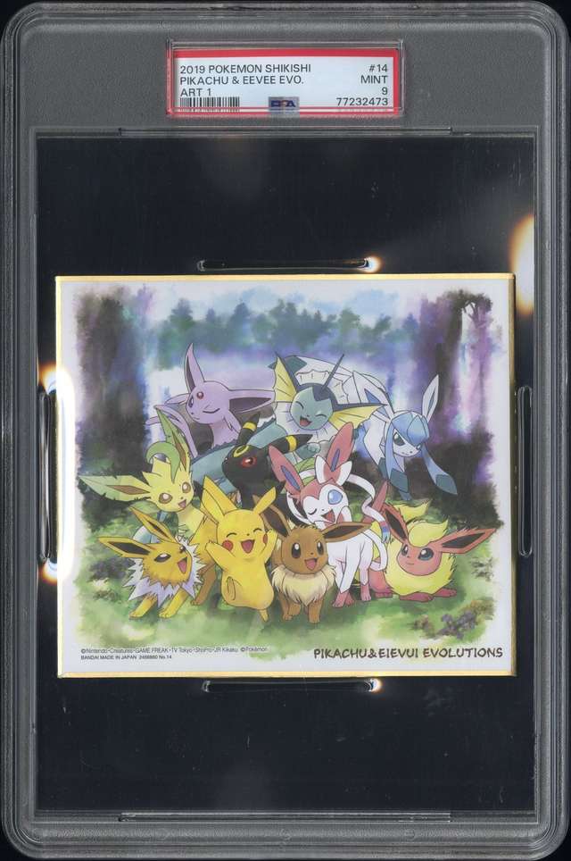 Pikachu & Eevee Evo