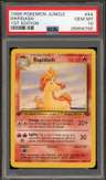 Rapidash