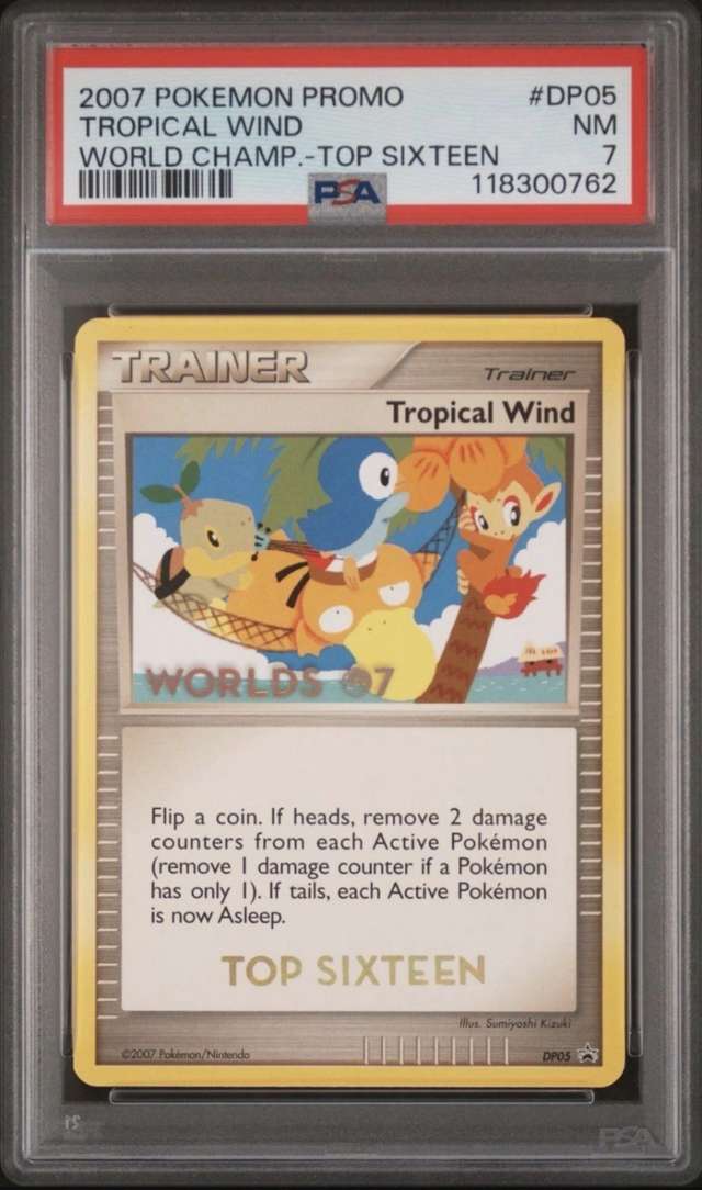 Tropical Wind