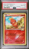 Torchic