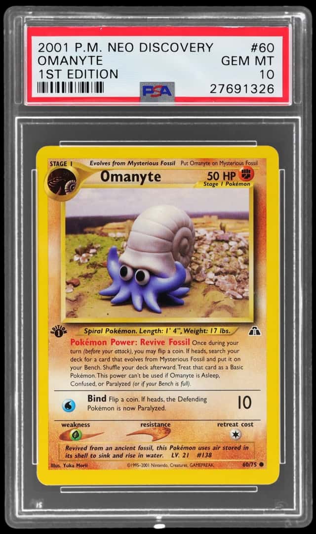 Omanyte