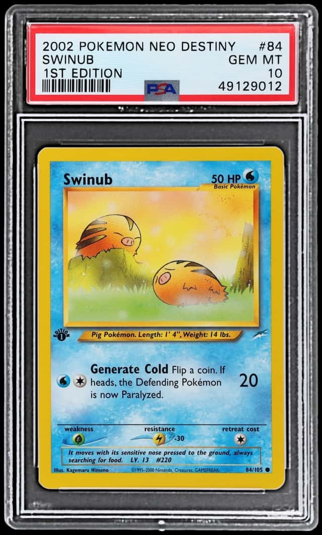 Swinub