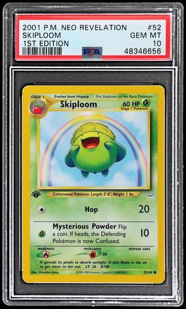 Skiploom